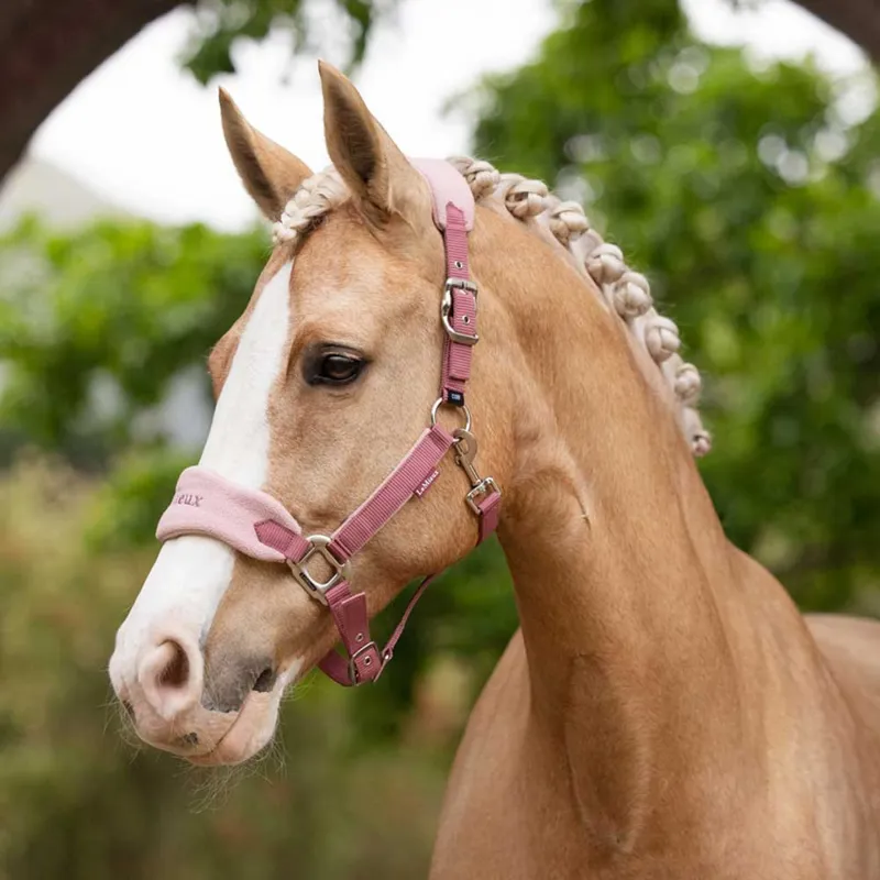 LeMieux Vogue Headcollar and Leadrope - Blossom-1