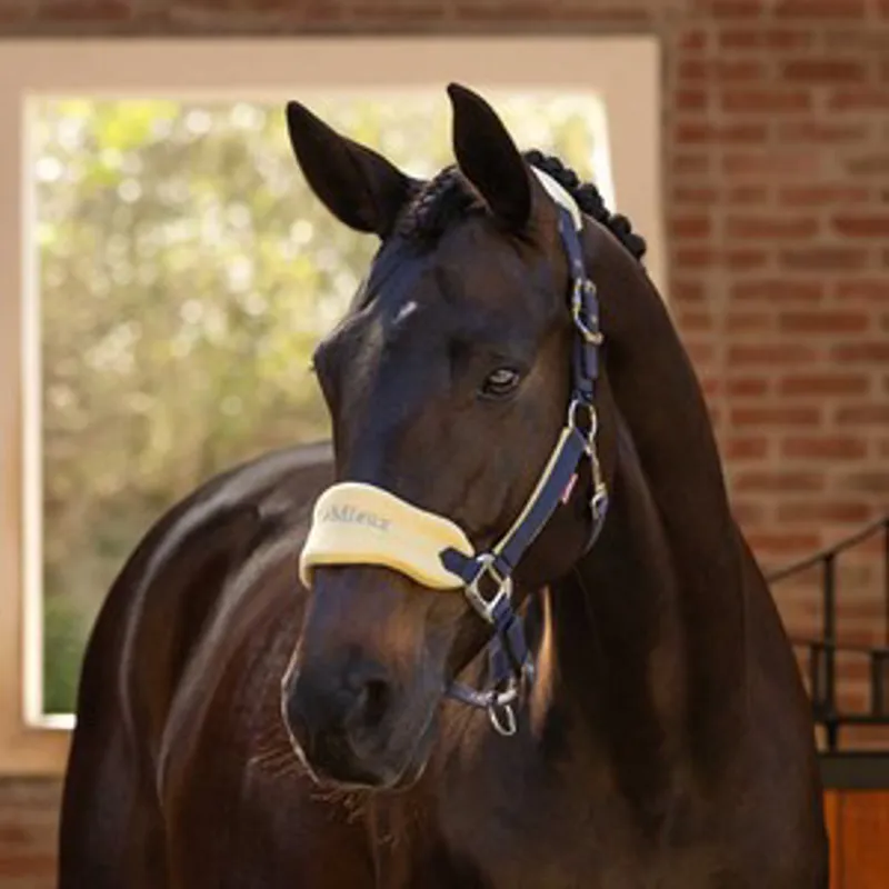 LeMieux Vogue Headcollar and Leadrope - Mimosa-2