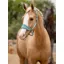 LeMieux Vogue Headcollar and Leadrope - Lagoon