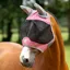 LeMieux Visor-Tek Half Fly Mask - Peony