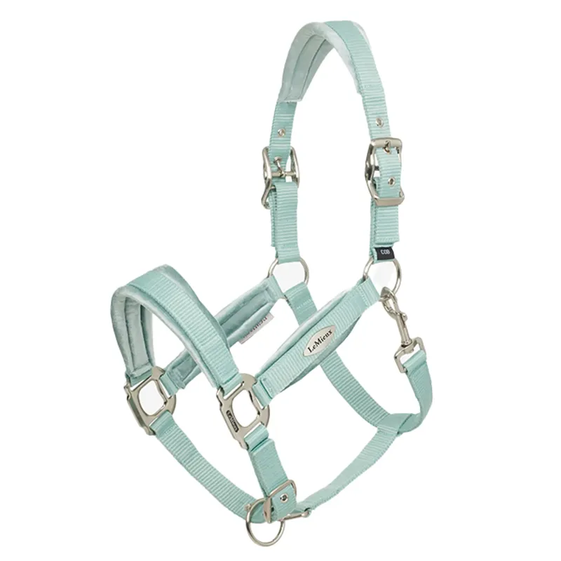 LeMieux Versailles Headcollar - Aqua