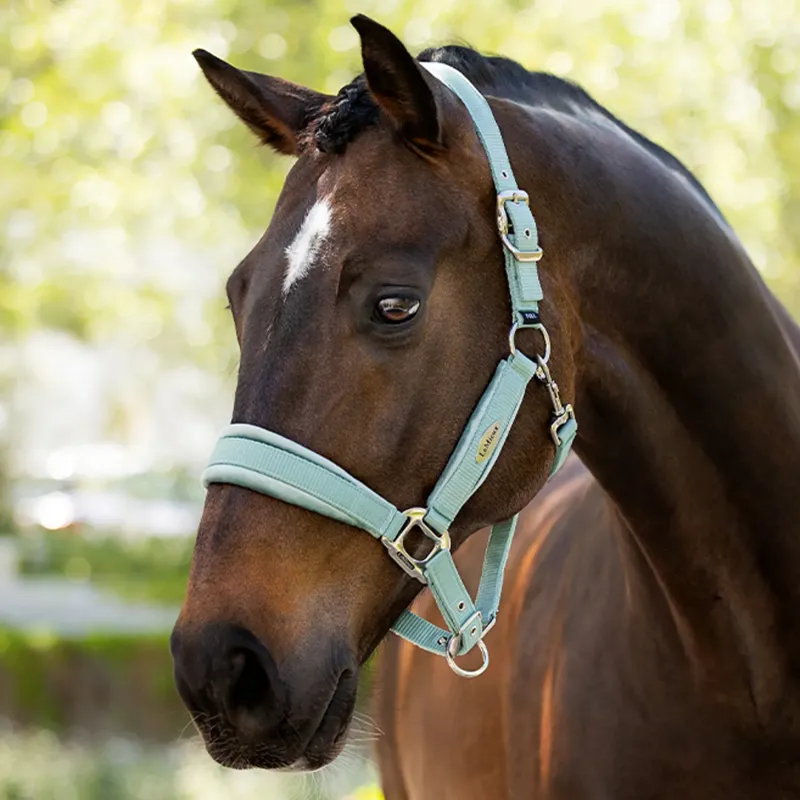 LeMieux Versailles Headcollar - Aqua-1