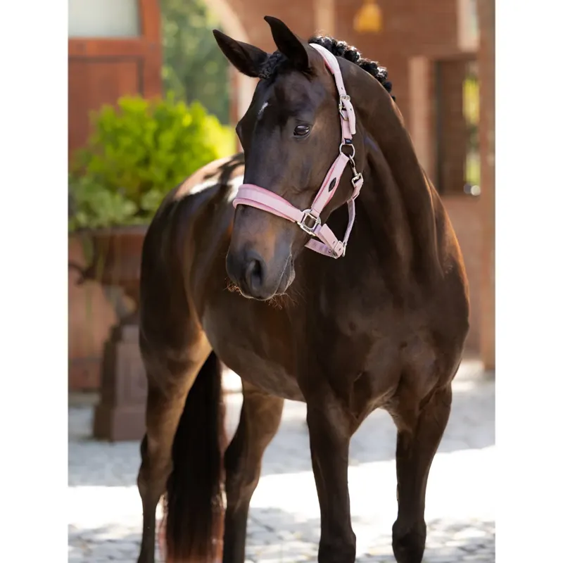 LeMieux Versailles Headcollar - Blossom-1