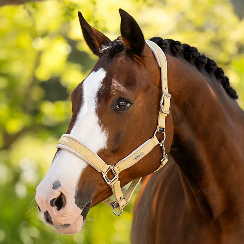 LeMieux Versailles Headcollar - Mimosa-1