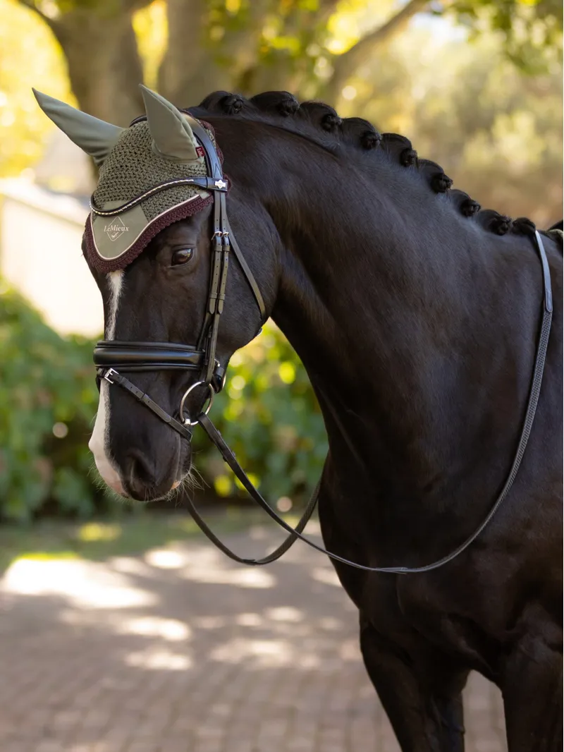 LeMieux Classic Fly Hood  - Rosemary-1