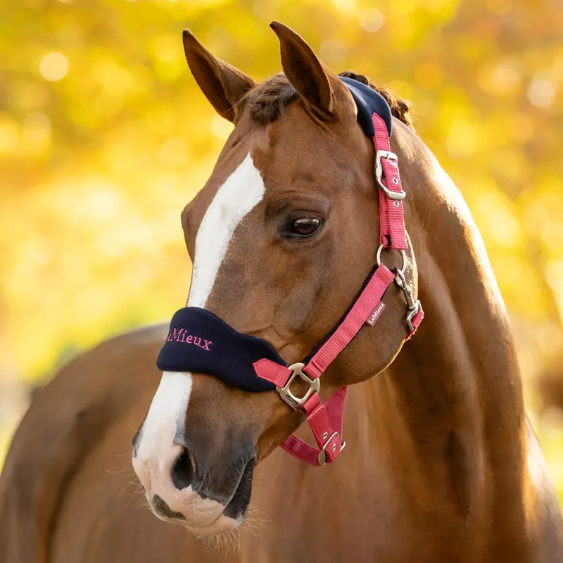 LeMieux Vogue Headcollar and Leadrope - Cranberry-1
