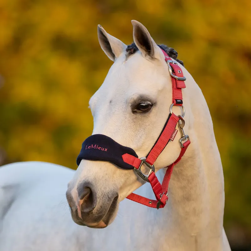 LeMieux Mini Vogue Headcollar and Leadrope - Cranberry-2