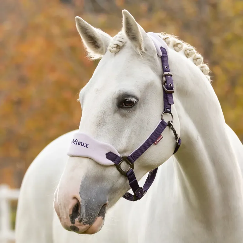 LeMieux Vogue Headcollar and Leadrope - Juniper-1