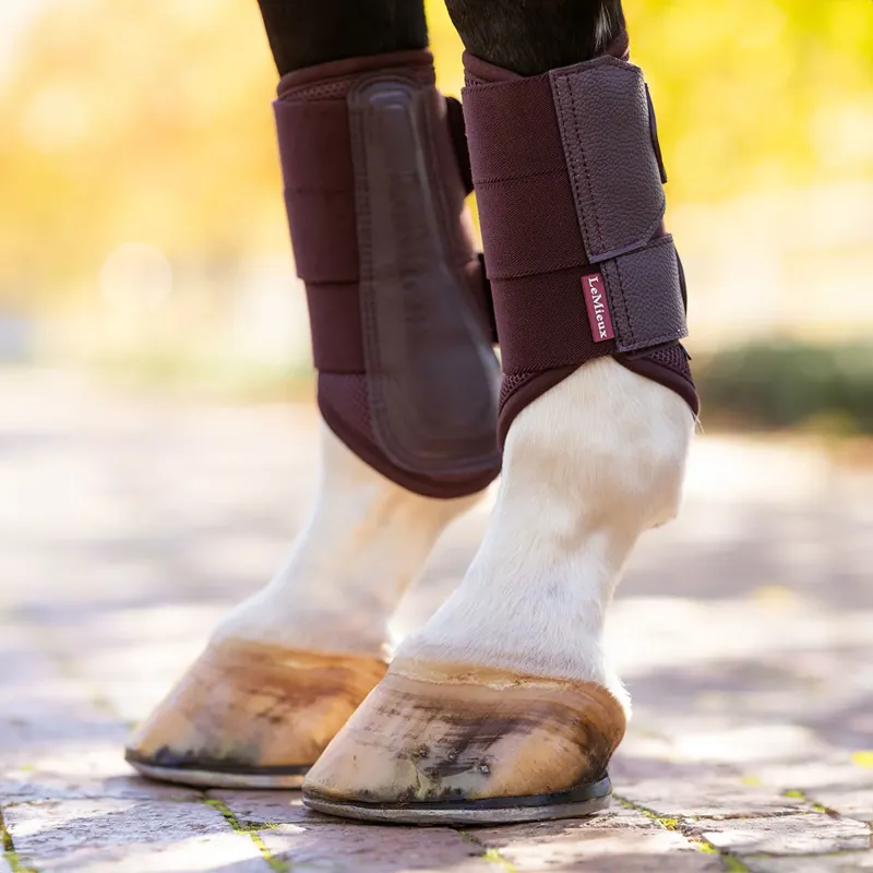LeMieux Arika Mesh Brushing Boots - Damson-2
