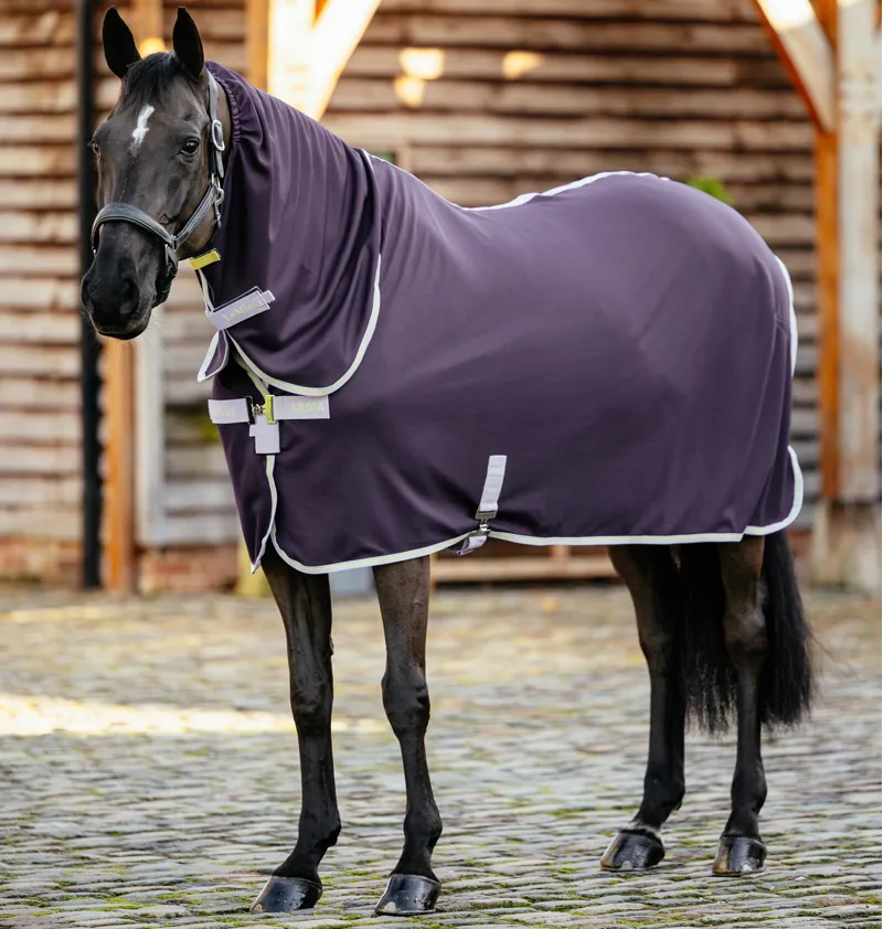 LeMieux Arika DryEase Rug - Juniper