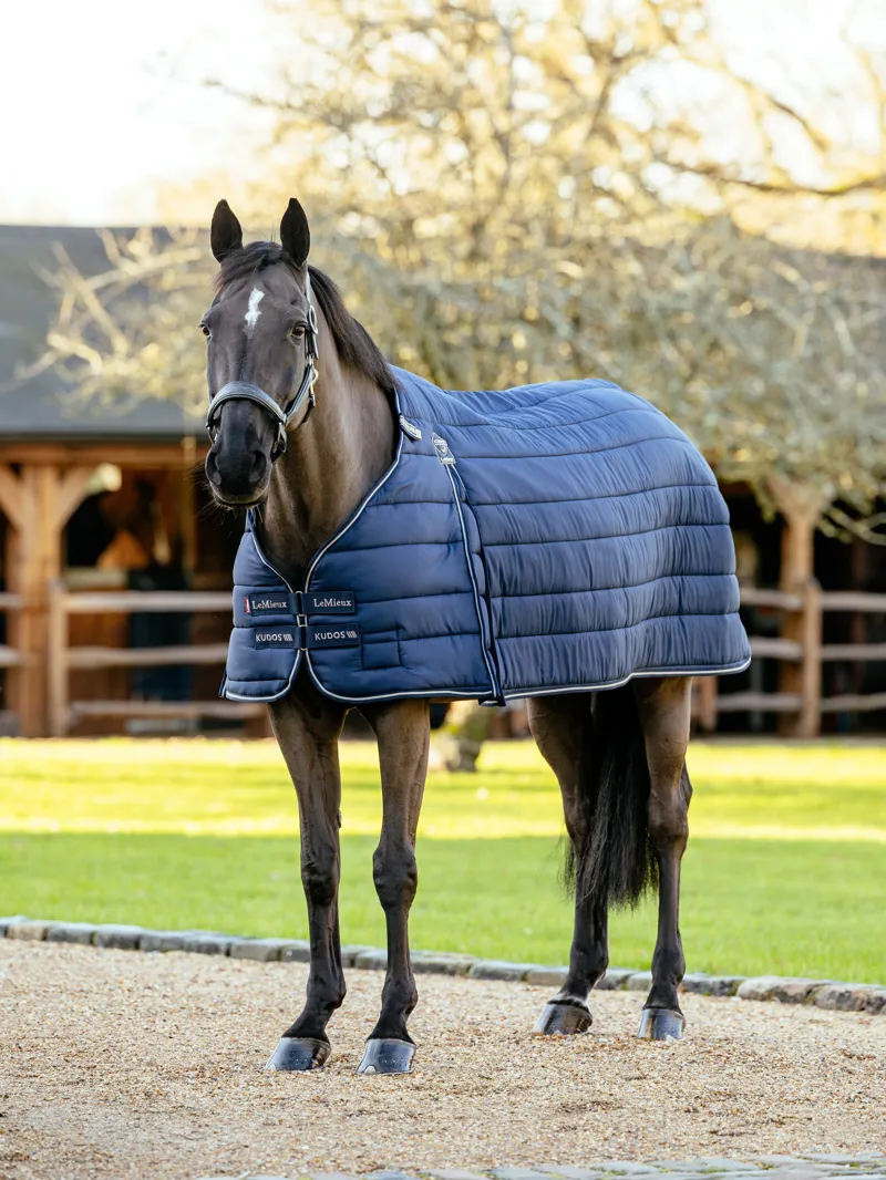 LeMieux Kudos 350g Rug Liner - Navy-6