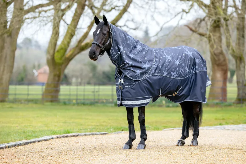 LeMieux Arika Star 200g Turnout Rug - Navy-1
