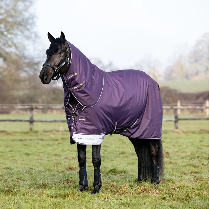 LeMieux Arika Ripstop 200g Turnout Rug - Juniper