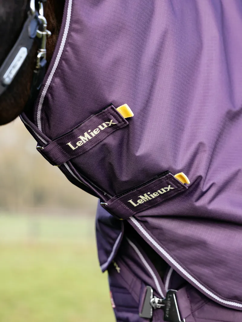 LeMieux Arika Ripstop 100g Turnout Rug - Juniper-2