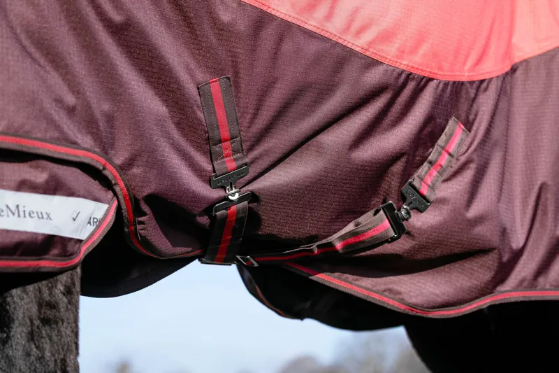 LeMieux Arika Ripstop 100g Turnout Rug - Cranberry-6