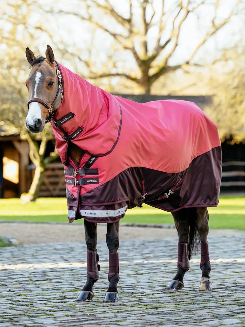 LeMieux Arika Ripstop 200g Turnout Rug - Cranberry-1