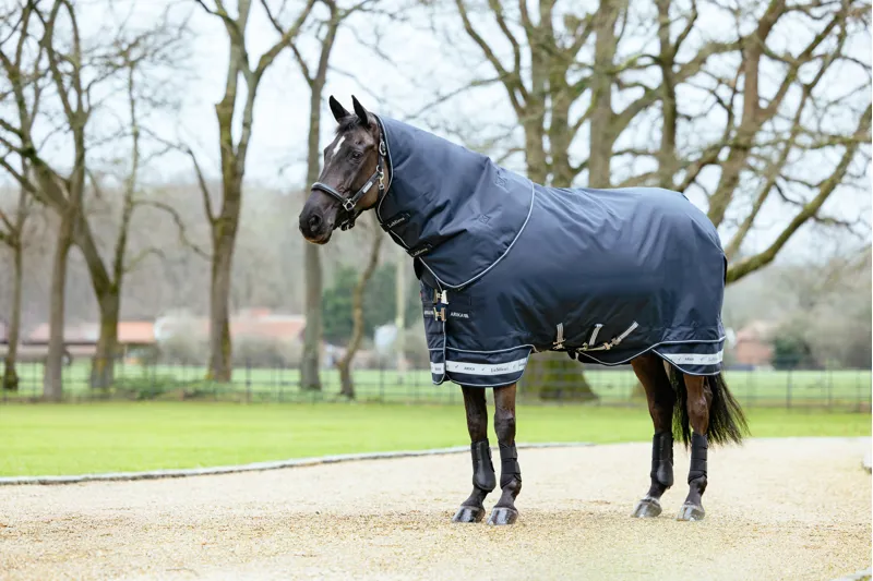 LeMieux Arika Storm-Tek 100g Turnout Rug - Black-7