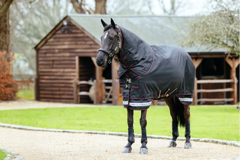 LeMieux Arika Storm-Tek 200g Turnout Rug - Black-7