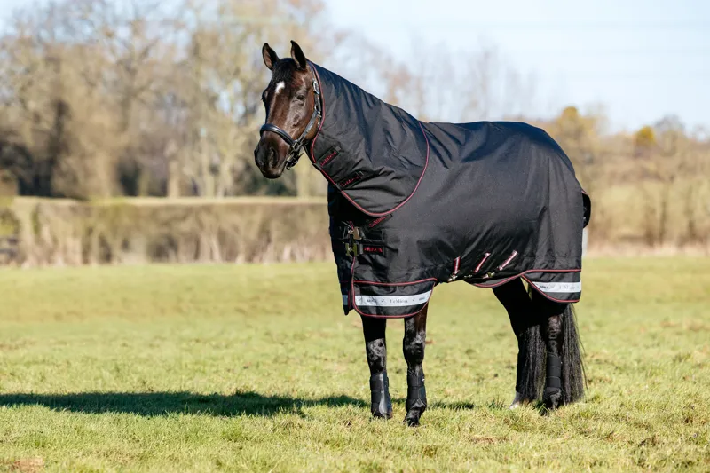 LeMieux Arika Storm-Tek 350g Turnout Rug - Black-6