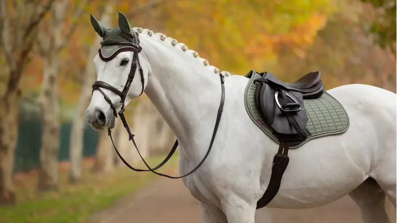 LeMieux Suede Close Contact Square Saddle Pad - Rosemary-1