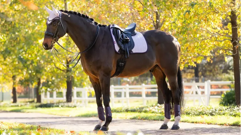 Lemieux Suede Dressage Square Saddle Pad - Lilac-3