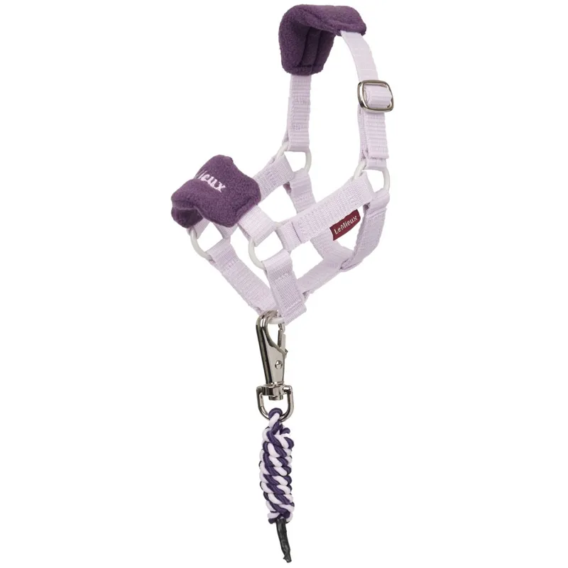 LeMieux Toy Pony Vogue Headcollar and Leadrope - Lilac
