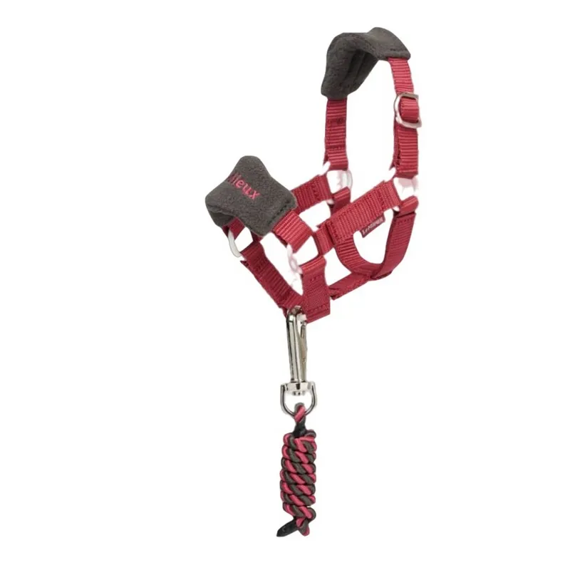 LeMieux Toy Pony Vogue Headcollar and Leadrope - Cranberry