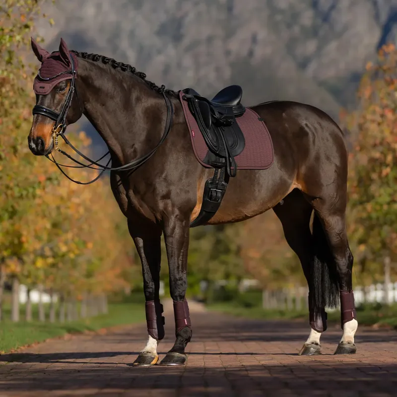 LeMieux Essence Dressage Square Saddlecloth -  Damson-4
