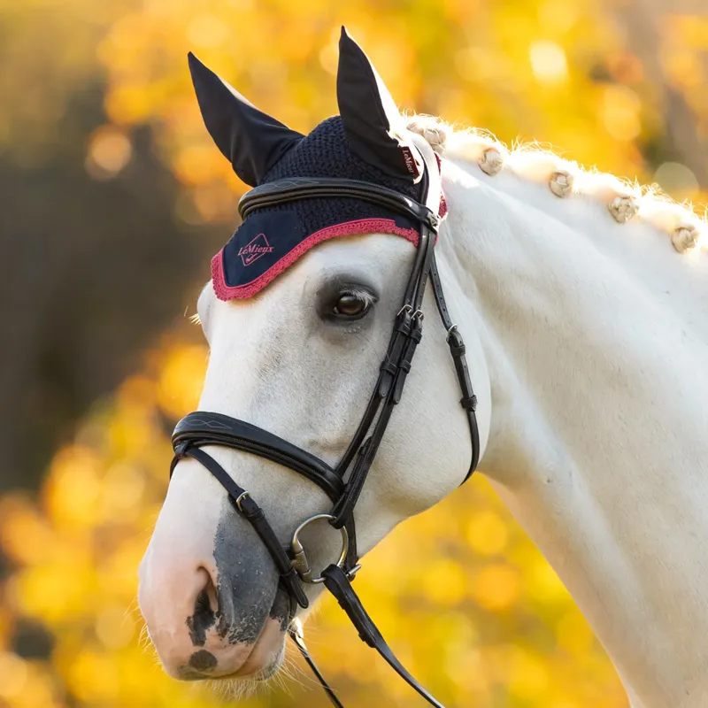 LeMieux Classic Fly Hood - Navy/Cranberry-1