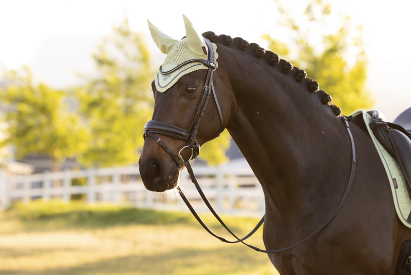 LeMieux Classic Fly Hood - Macaron-1