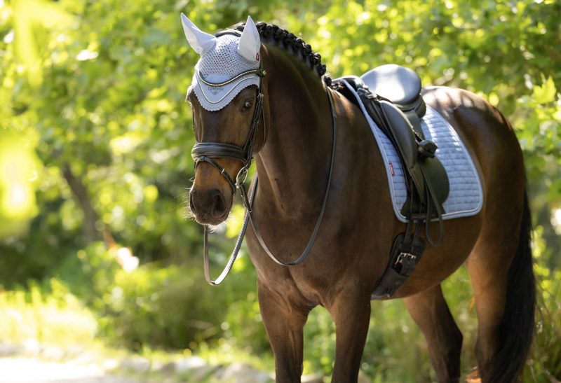 LeMieux Classic Fly Hood - Powder Blue-1