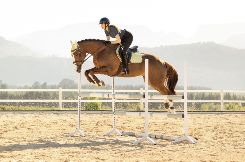 LeMieux Suede Close Contact Square - Macaron-4