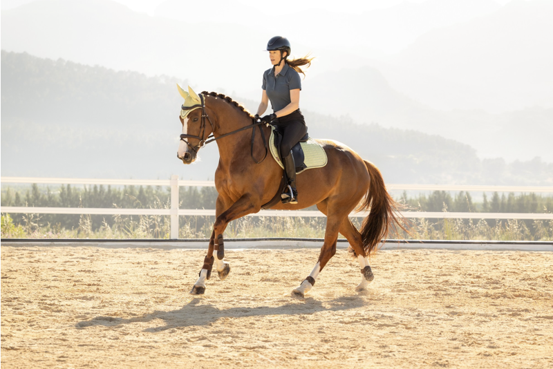 LeMieux Suede Close Contact Square - Macaron-1