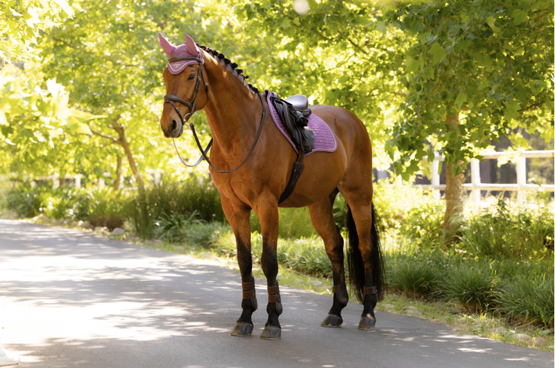 LeMieux Suede Close Contact Square - Mallow-3