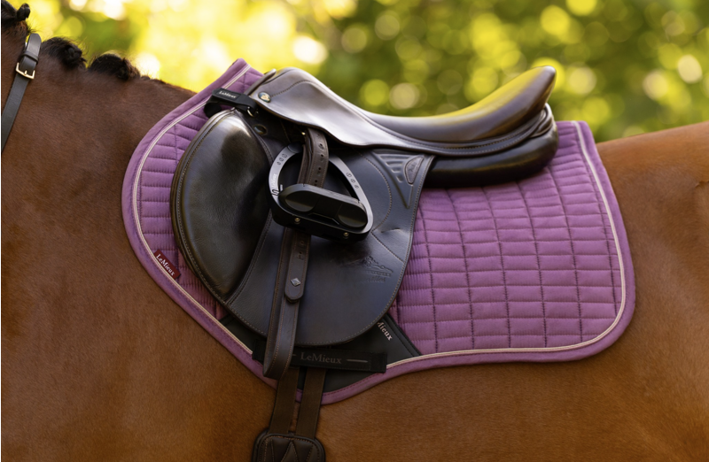 LeMieux Suede Close Contact Square - Mallow-4