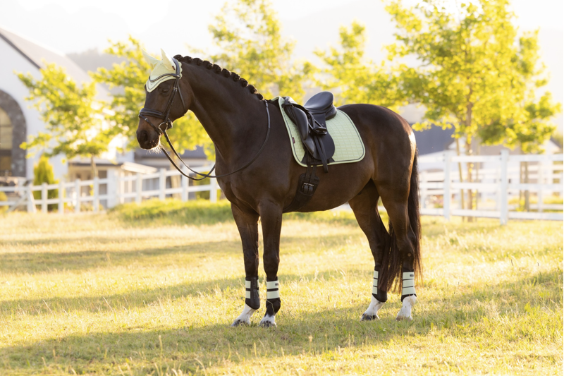 LeMieux Suede Dressage Square - Macaron-3