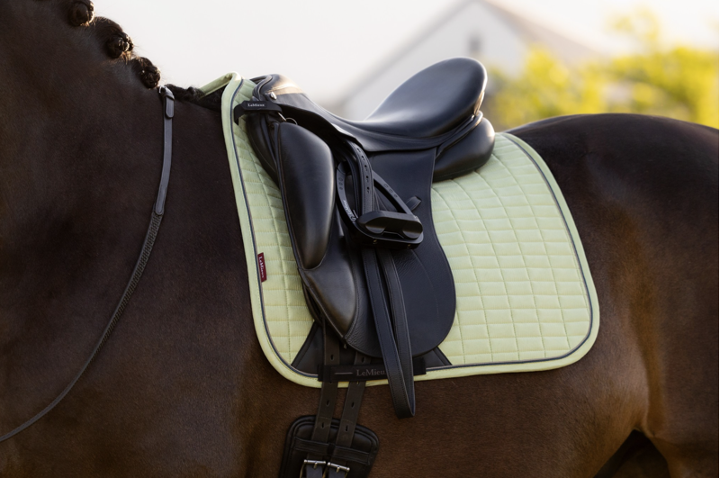 LeMieux Suede Dressage Square - Macaron-4