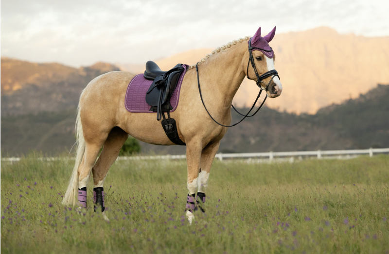 LeMieux Suede Dressage Square - Mallow-1