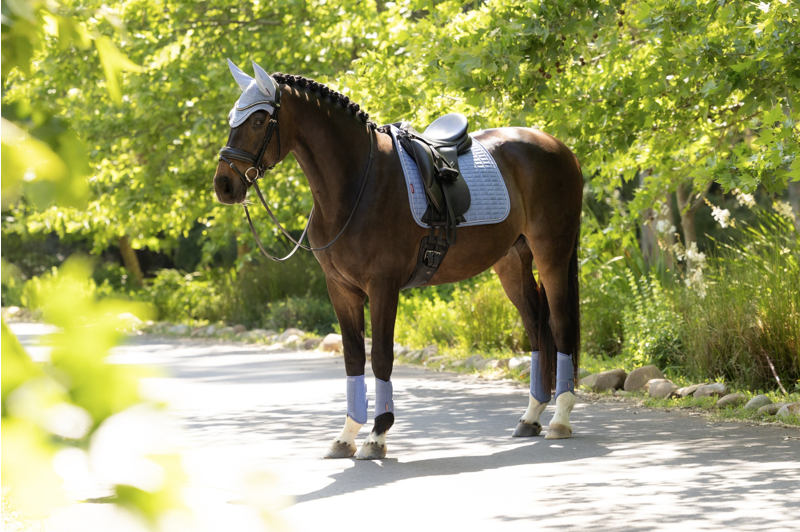 LeMieux Suede Dressage Square - Powder Blue-2