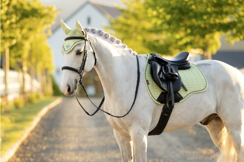 LeMieux Suede GP Square - Macaron-3