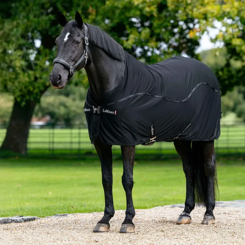 LeMieux Arika Air-Tek Stable Sheet - Black