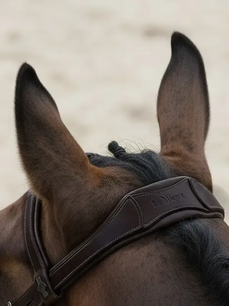 LeMieux Arika Flash Bridle - Brown/Silver-1