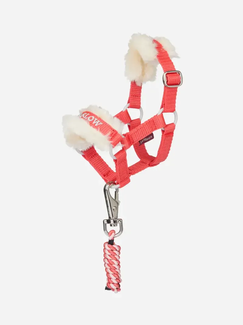 LeMieux Harlow Toy Pony Headcollar and Leadrope - Coral Crush - One Size