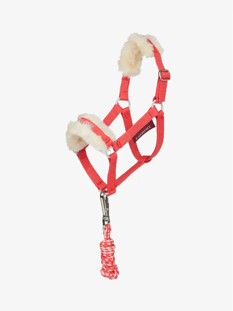 LeMieux Harlow Hobby Horse Headcollar and Leadrope - Coral Crush - One Size