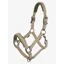 LeMieux Essence Headcollar - Pear