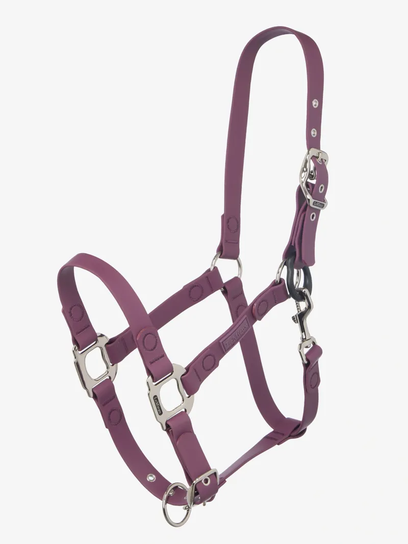 LeMieux FieldFlex Breakaway Headcollar - Blackberry