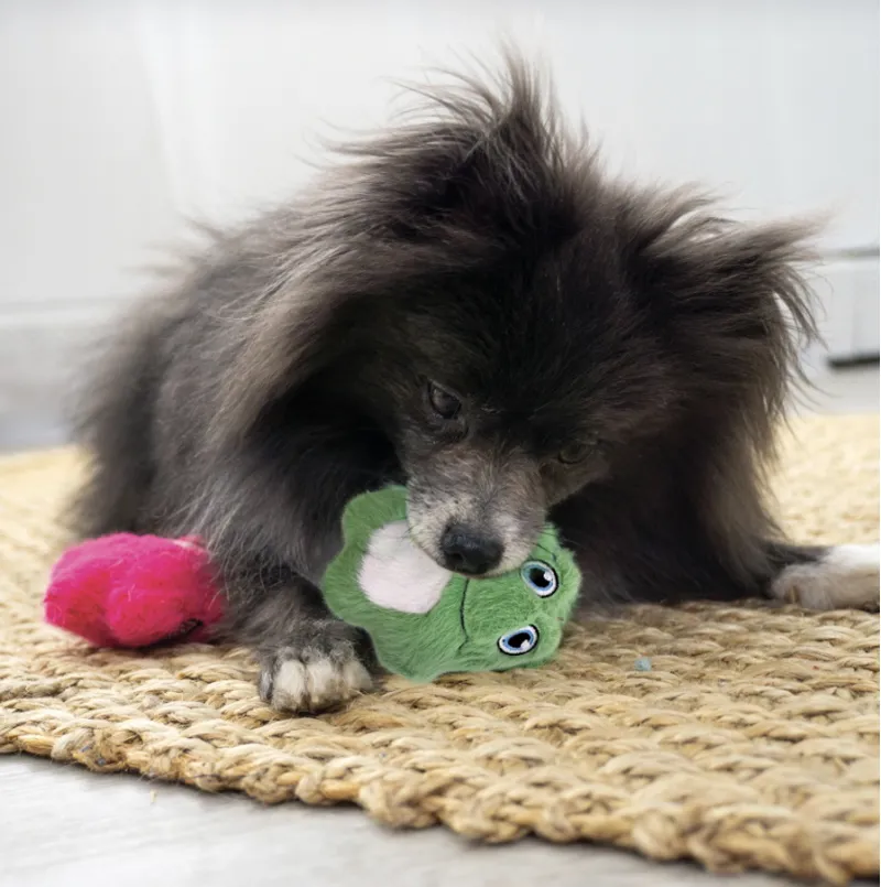 KONG Snuzzles Minis - Frog -2
