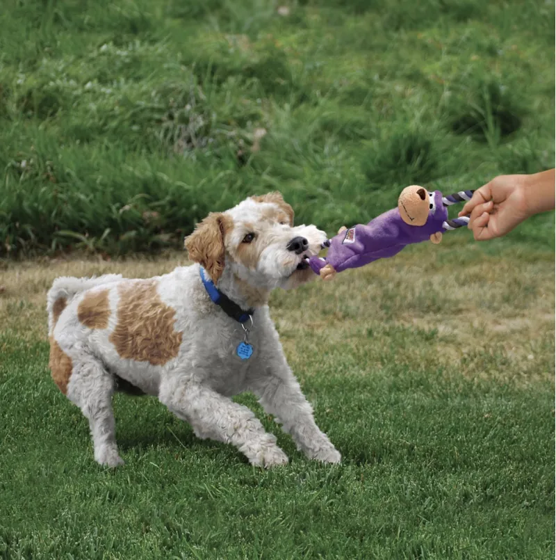 KONG Tugger Knots - Moose-2