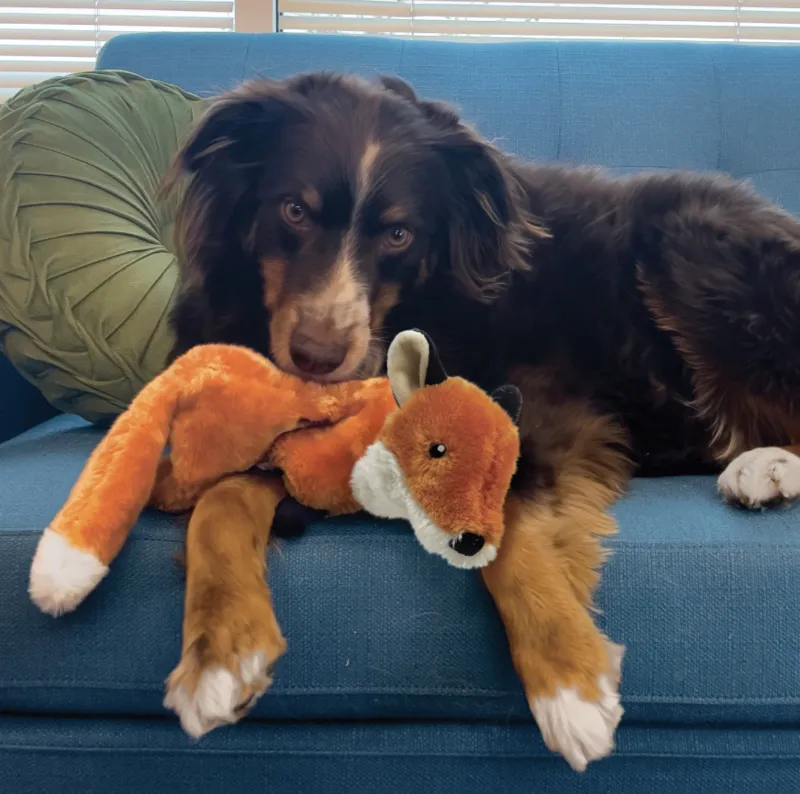 KONG Wild Low Stuff - Rabbit-2