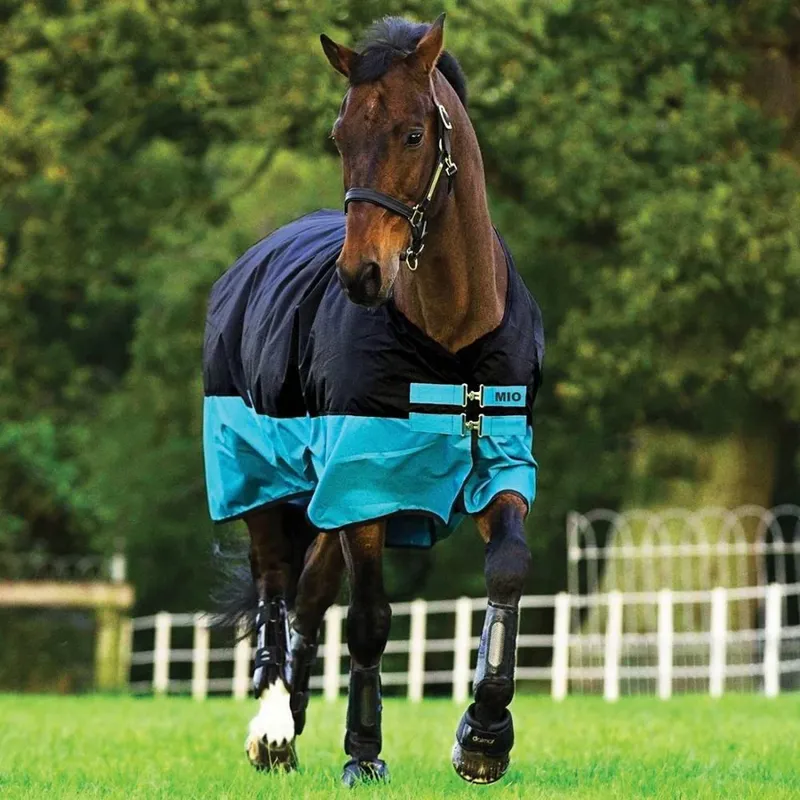 Horseware Mio 0g Lite Turnout Rug - Black/Turquoise
